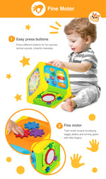 Winfun Music Fun Activity Cub