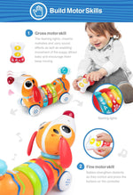 WinFun RC Rainbow Pup