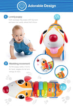 WinFun RC Rainbow Pup