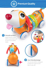 WinFun RC Rainbow Pup
