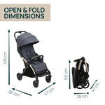 Chicco Goody XPlus Stroller (Dark Shadow)