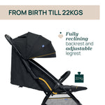 Chicco Glee Stroller (Uneven Black )