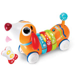WinFun RC Rainbow Pup
