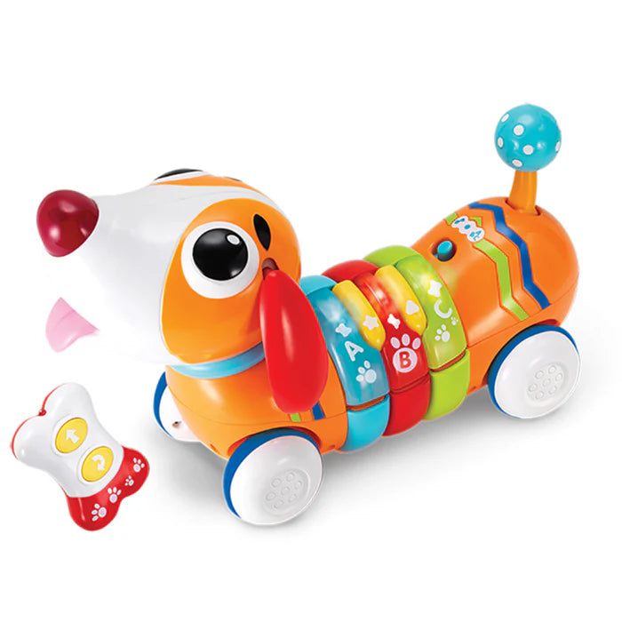 WinFun RC Rainbow Pup