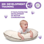 Boppy Nursing Pillow Wildflowers