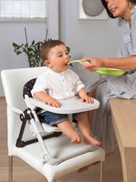 Chicco Chairy Booster Seat (Sweet Dog, Black)