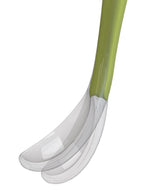 Chicco Soft Spoon (6m+) (Green)