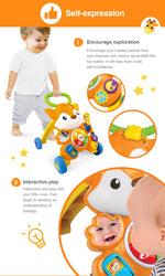 Winfun Grow-With-Me Fox Walker